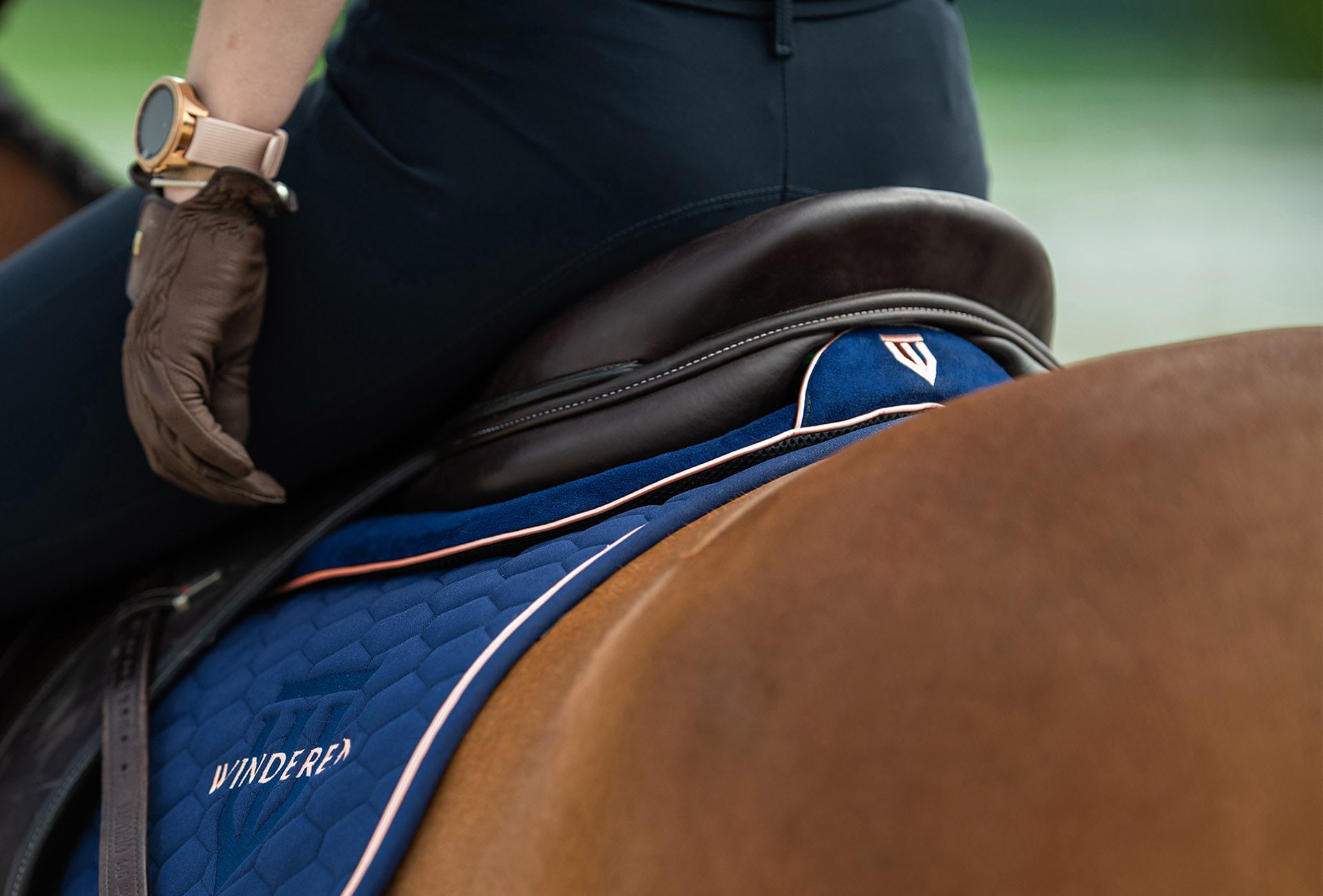 所有する馬に最適なハーフサドルパッドとは