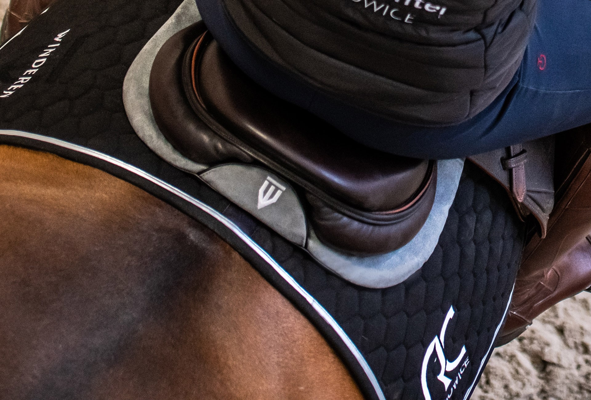 The best saddle half pad for your horse - how to choose?
