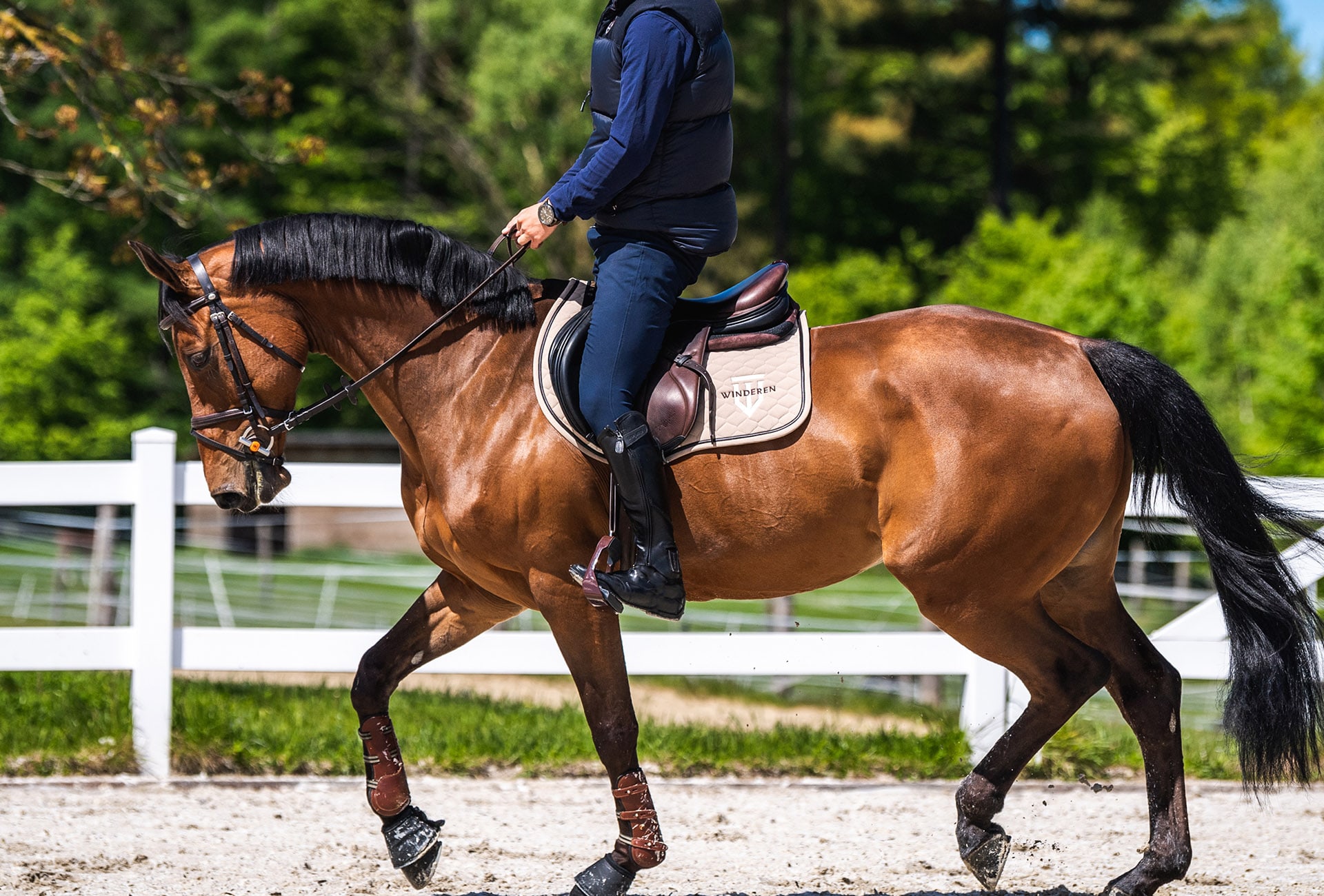 Winderen Correction Saddle Half Pad under the saddle during riding