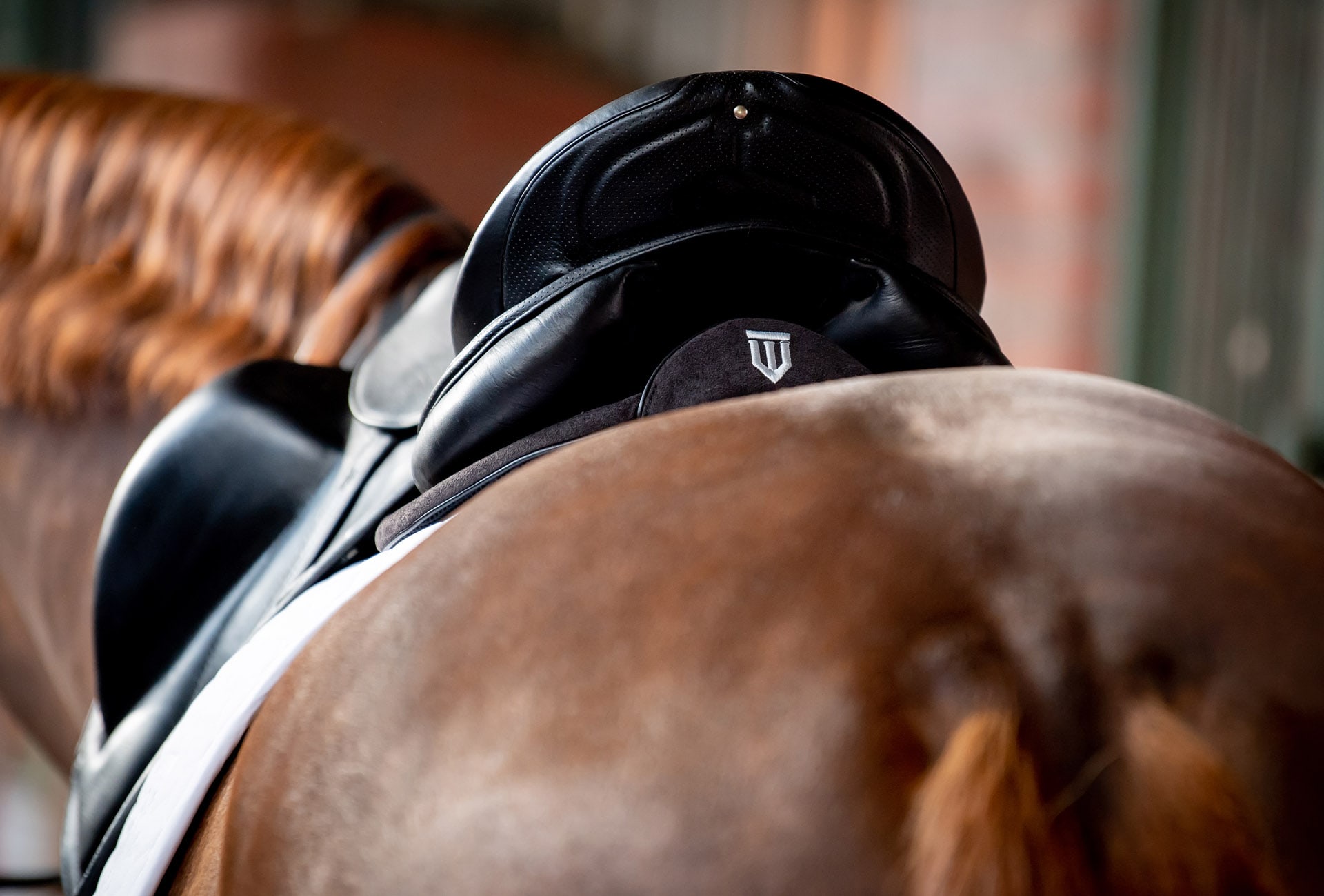 Winderen dressage saddle half pad under the saddle
