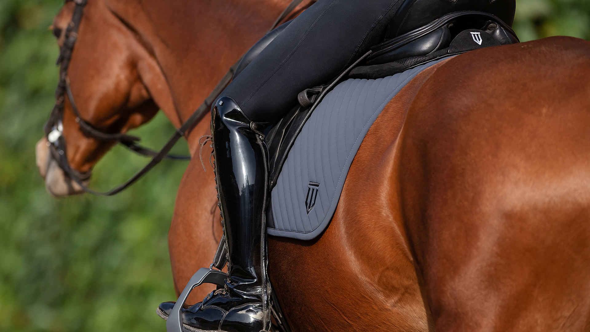 Saddle pad for horses with excellent thermoregulation properties 