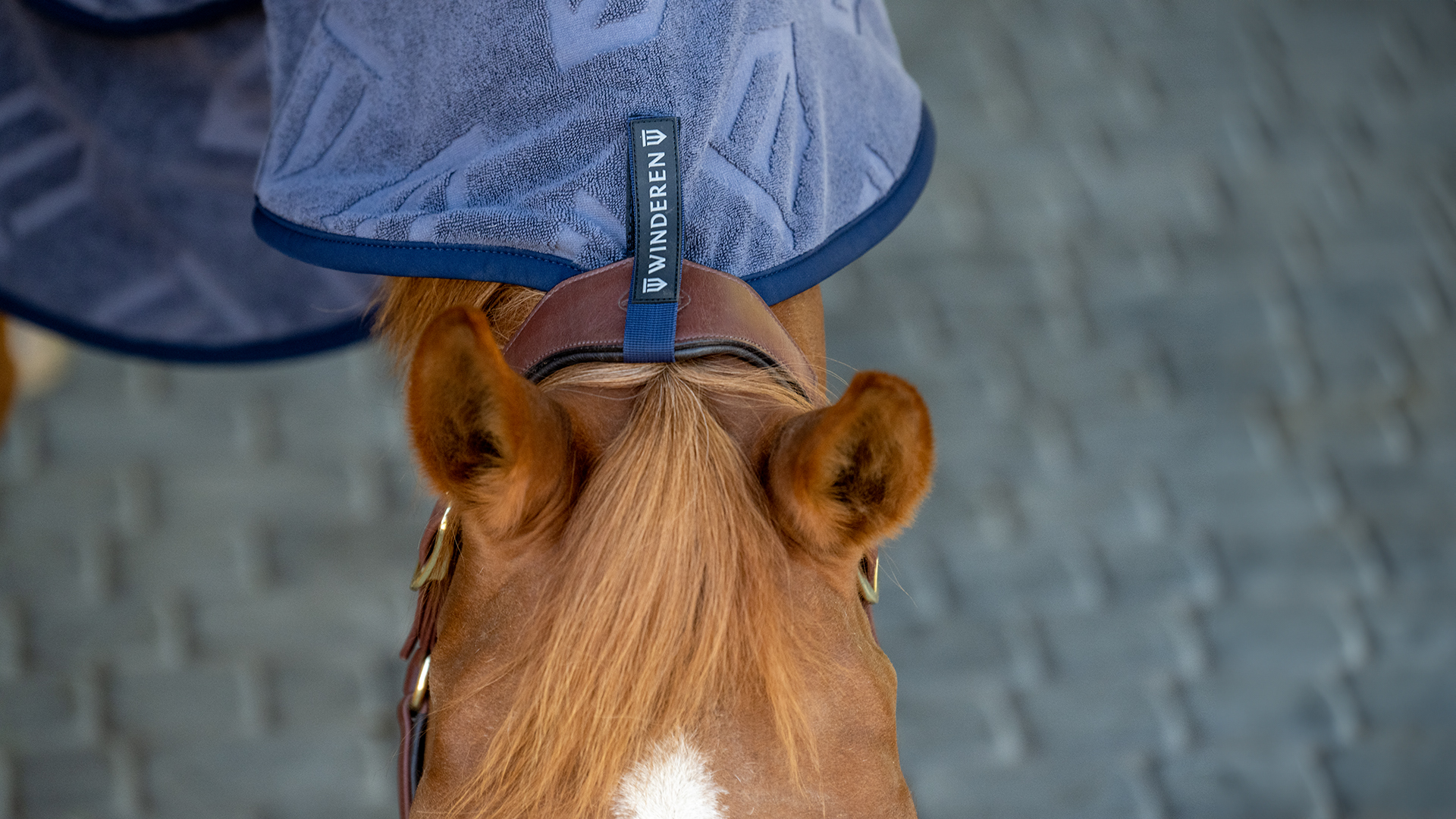 Winderen softshell - kevlar horse rugs