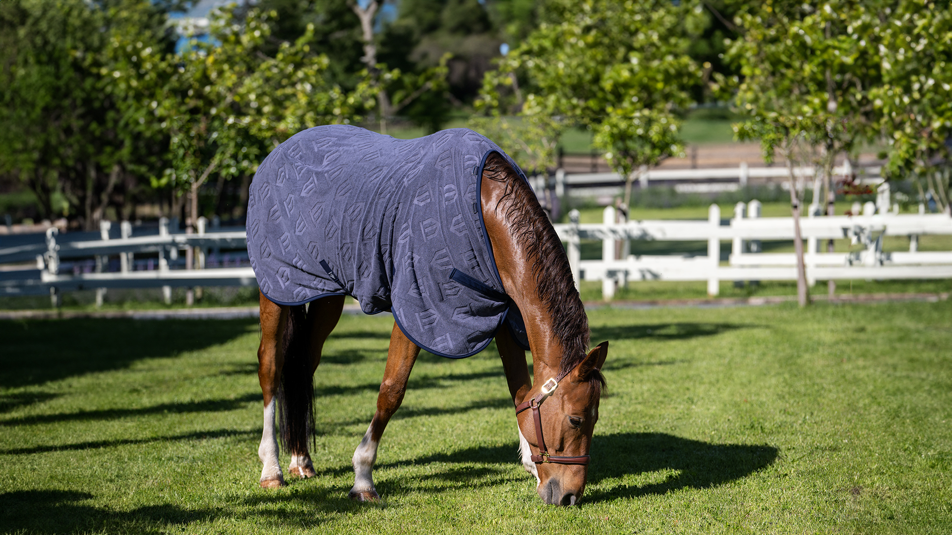 Winderen softshell - kevlar horse rugs