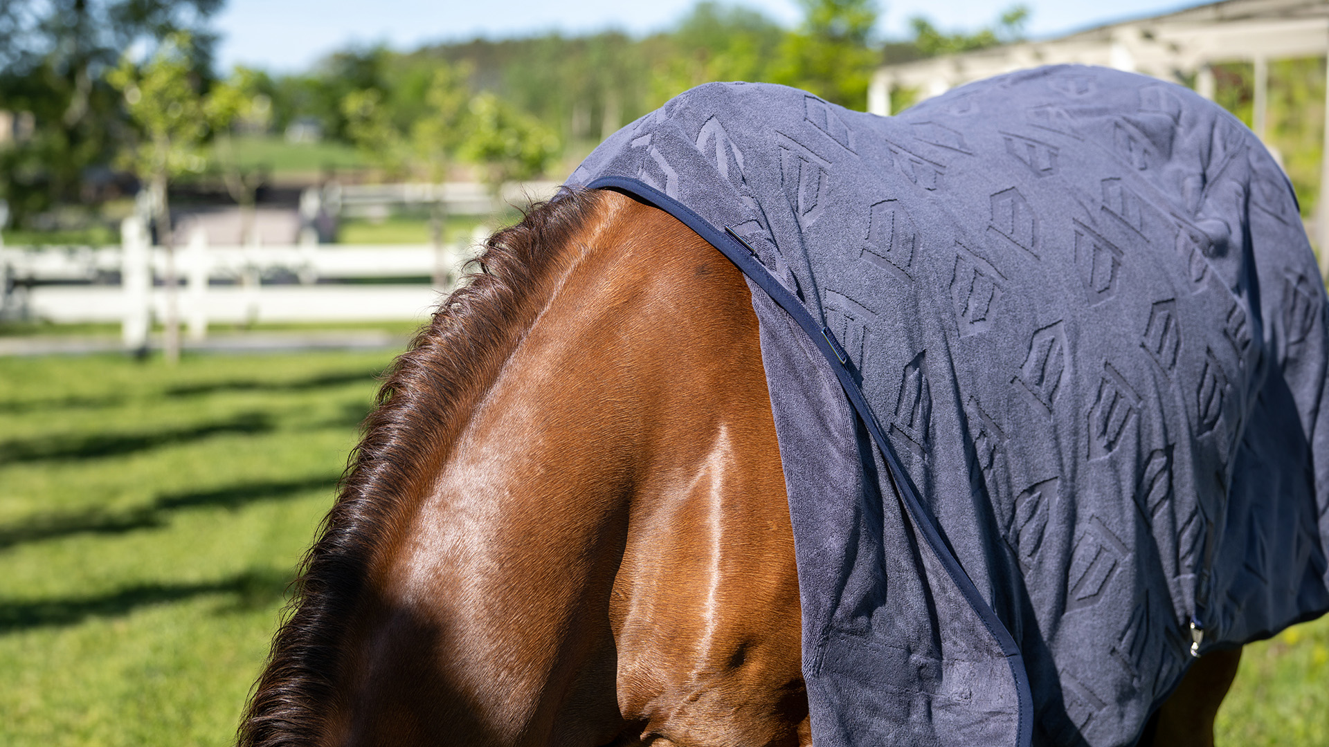 Couverture séchante pour cheval Quick-Dry | Fabricant et boutique d'équitation