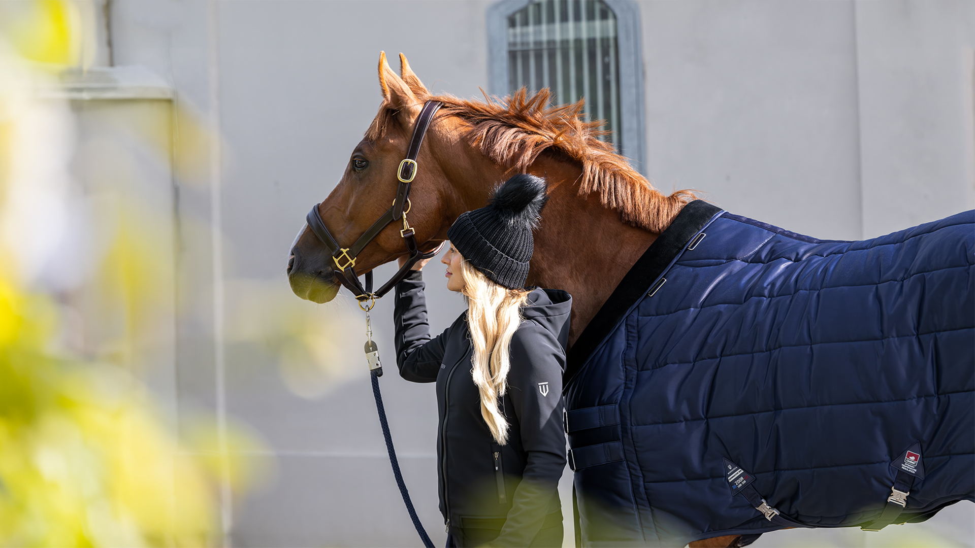 Hestefargenes genetikk *, image size:1920x1080