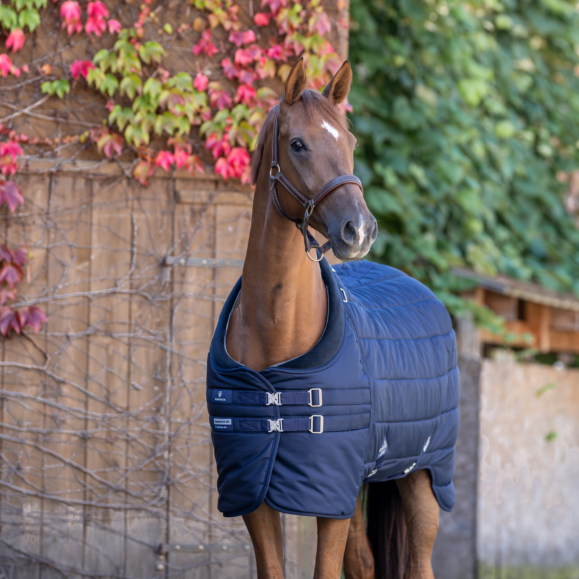 Winderen staldeken voor paarden Thermoactive Zoom 100-350 - Ballistic Nylon  1680D 145 cm