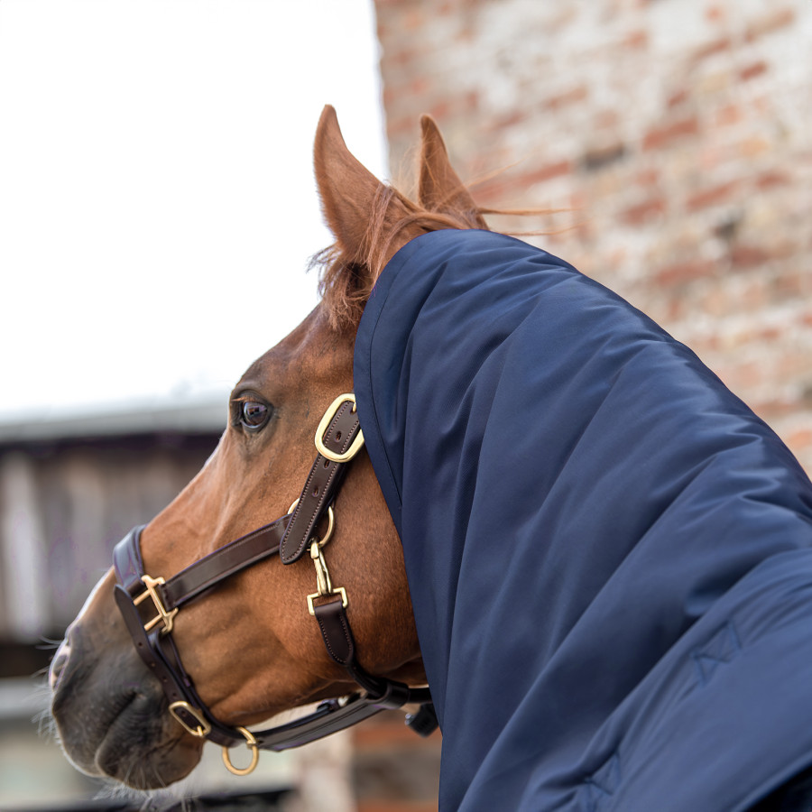 Stable Rug For Cobs Hood for stable horse rug Winderen Thermoactive Zoom 100-350 Cob ...