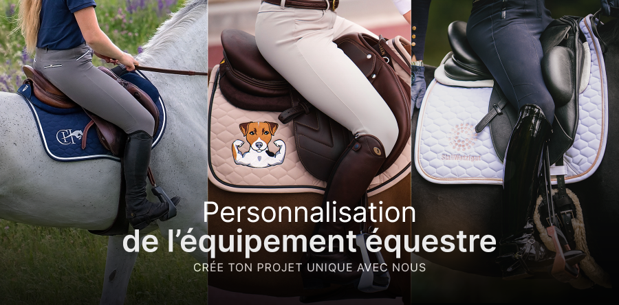 Quel équipement prévoir pour monter un cheval : la liste