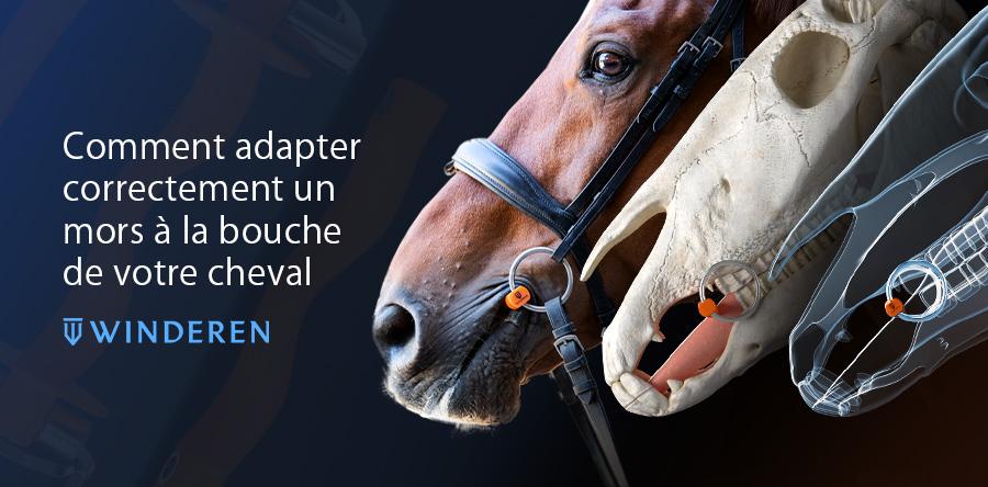 Mors De Cheval Correcteur Formay - Bouche Cuivre - Neuf